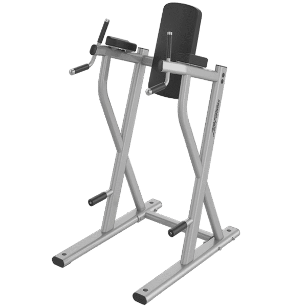 life fitness Life Fitness Dip/Leg Raise