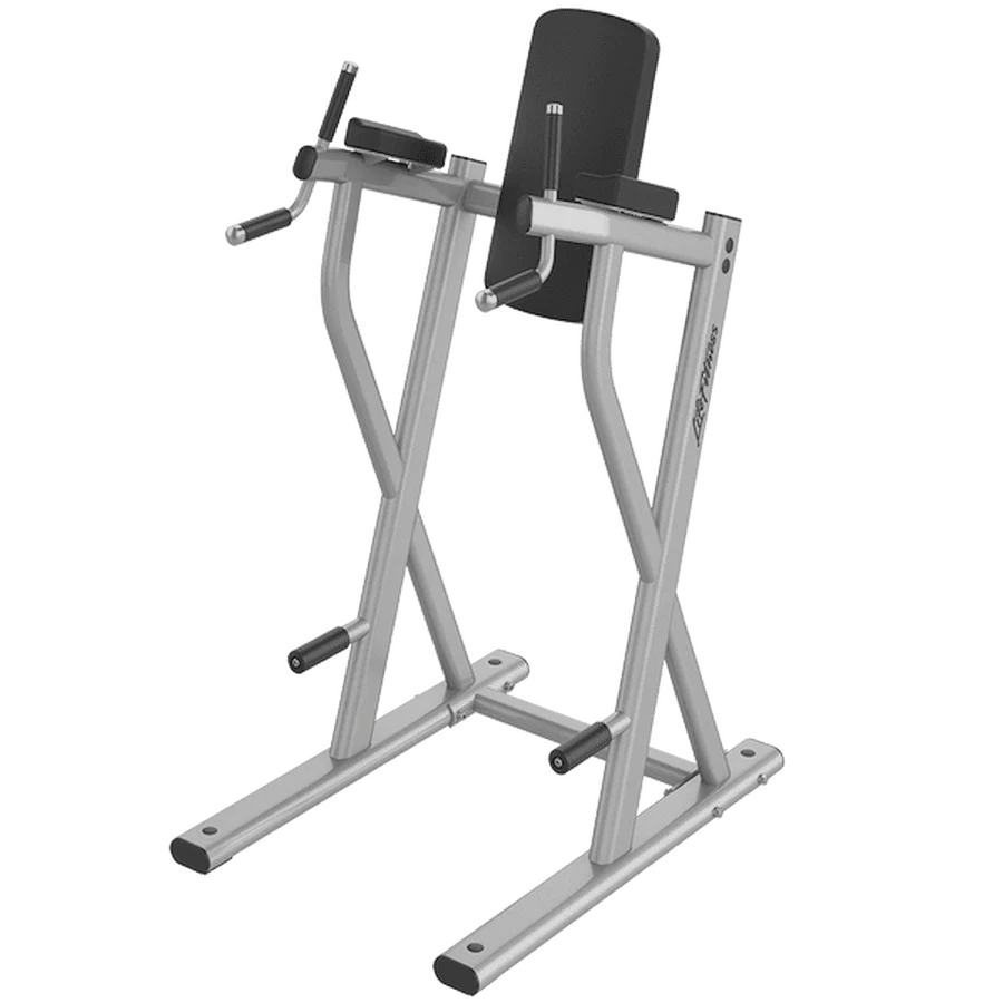 life fitness Life Fitness Dip/Leg Raise