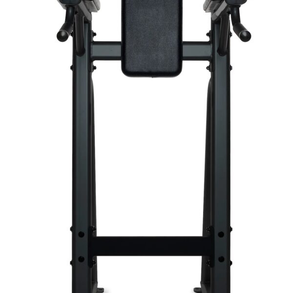 Inflight Vertical Knee Raise/Dip Bench