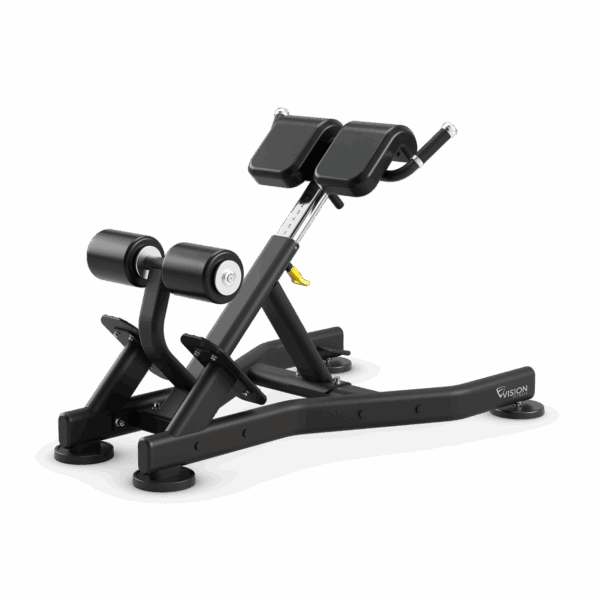 Vision Back Extension Bench
